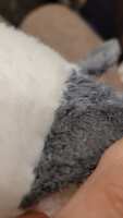 https://images.plurk.com/1ctXbDRKpaSgLFhH66Auw.jpg