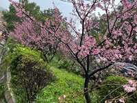 https://images.plurk.com/1cyzexRolGYK4lPPpebHe6.jpg