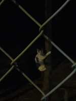 https://images.plurk.com/1d62yyl9sJXnjfC6GsOK0P.jpg