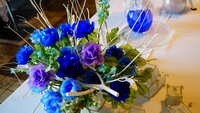 https://images.plurk.com/1dC7MCg7DFbowZaPOw72fo.jpg
