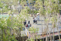 https://images.plurk.com/1dD4vrBzgtkkbmr2qjV1lR.jpg