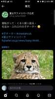 https://images.plurk.com/1dFNbUh495FYlGpYoslplS.jpg