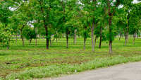 https://images.plurk.com/1dOvF0Ay34maBoLrTZcROg.jpg