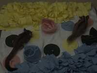 https://images.plurk.com/1dPYm8hxDZPb1xKg4dUctm.jpg
