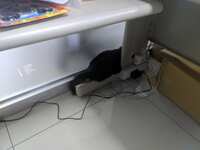 https://images.plurk.com/1dSXv9CHKsTlLQ3QjmWLD8.jpg