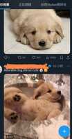 https://images.plurk.com/1dfuYYpXOVYpmpG8N9MVS6.jpg