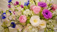 https://images.plurk.com/1dhsabzhH5J1AlNyJMDOWb.jpg