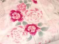 https://images.plurk.com/1dhvPqpDoQb6YCmSEjOPeL.jpg