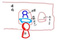https://images.plurk.com/1dmQKALjg6XPlrr28CaTjn.jpg