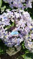 https://images.plurk.com/1drfcdg4WB137tJEZmTNPJ.png