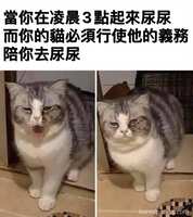 https://images.plurk.com/1drhgW8tzAzZZMEA1L8vN7.jpg