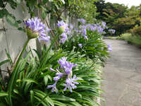 https://images.plurk.com/1ds2zSvCEf7DXIP0MEU2jp.jpg