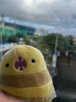 https://images.plurk.com/1e8iPoUzEzQHTVFK7aZqX6.jpg