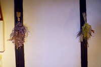 https://images.plurk.com/1eH9UCpXKktiZ3hqKud0oS.jpg