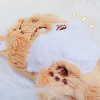 https://images.plurk.com/1eHHJiv78Q994fx6H3tLQd.jpg