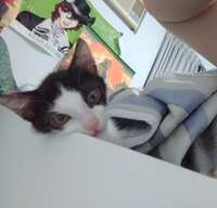 https://images.plurk.com/1eSdm3vQIaSwsToswNV3p.jpg