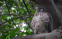 https://images.plurk.com/1eUZGuHpi5cnJAllMqsYTz.jpg