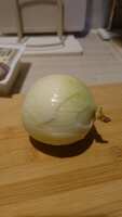 https://images.plurk.com/1eYrczOQXqrlLcRaFV9BHr.jpg