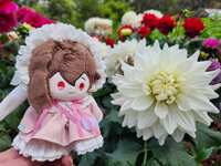 https://images.plurk.com/1enE8tEUK7csdoX88XOSm2.jpg