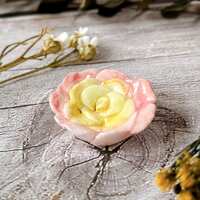 https://images.plurk.com/1f1LqLme7O2jsDe3O2OrL8.jpg