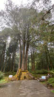 https://images.plurk.com/1f2Td2qTzxaIQ478FHzLTU.jpg