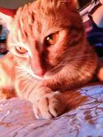 https://images.plurk.com/1fDQinFPNFiiFyoTp03KGY.jpg