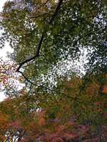 https://images.plurk.com/1fG0vvFMvUgpK1CbdQEdsx.jpg
