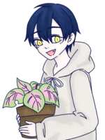 https://images.plurk.com/1fLKX8jxoH96OsFGWj4XaZ.png