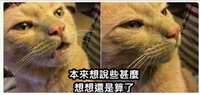 https://images.plurk.com/1fWGp12g4oCKh0BsoW9wHy.jpg