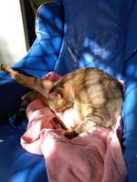 https://images.plurk.com/1fbH7lKrNhjf6CPj3mT86f.jpg