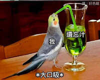 https://images.plurk.com/1fc9c3Mki1lOFuKMiOIIbX.jpg