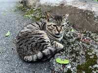 https://images.plurk.com/1fiCor5eEiEdqLv3IDVnne.jpg