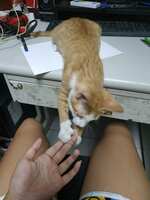 https://images.plurk.com/1fmgm1ff31srkaylF0QqJt.jpg