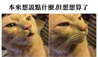 https://images.plurk.com/1fnRAF0LjRlbRoaw6b6jIn.jpg