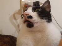 https://images.plurk.com/1foBgyjZhcUMISccKVawly.jpg