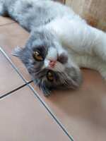 https://images.plurk.com/1fw8T7uWzKkTd3tWWK1O0P.jpg