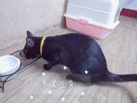 https://images.plurk.com/1fwnSz5xqd5RGtlCNlOWoL.jpg