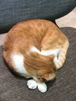https://images.plurk.com/1fyFYBthirXzep5orMekFz.jpg