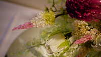 https://images.plurk.com/1g0wDWWUBvI9iWzOQ3HgyD.jpg