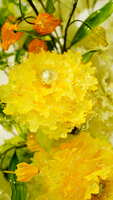 https://images.plurk.com/1g5NyYSf6fO7eEYjZ3WN9.jpg