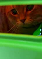 https://images.plurk.com/1g74xW2n4XxqsyCeWswVxc.jpg