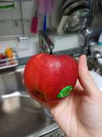 https://images.plurk.com/1g7RnsPH1WfTBh6RDKFkjQ.jpg