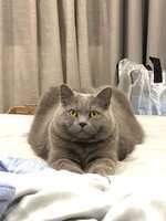 https://images.plurk.com/1gBPY51q1wjYKMyBk84O8B.jpg