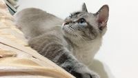 https://images.plurk.com/1gCJva1zQGhGdk26V6KiJ5.jpg