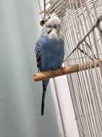 https://images.plurk.com/1gEpdm3D61TVXAchsSsdIY.jpg