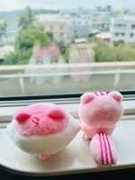 https://images.plurk.com/1gJhlZ7jgHrguiLFf6Fjtl.jpg