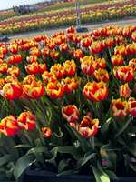 https://images.plurk.com/1gJxz4yOrVxmqY0vMDCfkq.jpg