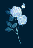 https://images.plurk.com/1gO6iNkLRtsDamO0Uubu3F.jpg