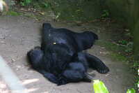 https://images.plurk.com/1gSHkAj4U0sPGfEhdCXLLS.jpg