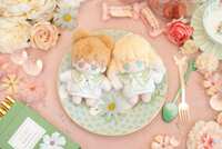 https://images.plurk.com/1gTFcDYKp3ccBQ3miplwCb.png